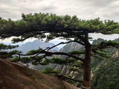 -黄山风景区