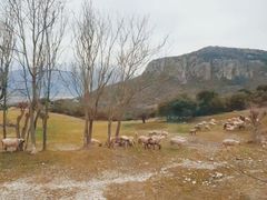 -梅黛奥拉修道院