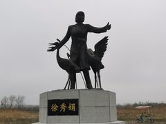 -盐城丹顶鹤湿地生态旅游区