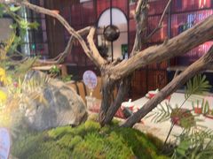 -申阿婆·上海菜(新桥店)