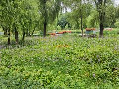 -长春市南湖公园