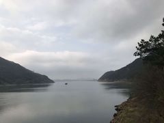 -羚羊峡古栈道森林公园