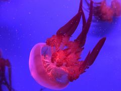 -常州海昌海洋探索馆