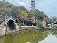 -江心屿景区