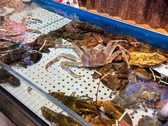 -开海·红岛海鲜虾水饺(石老人店)