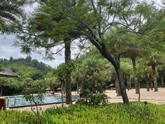 -腾冲洞山温泉村