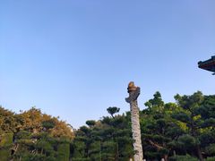 -广东圆玄道观
