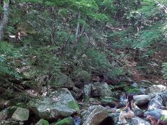 -本溪汤沟绿石谷森林公园