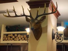 -摩根扒房(桐梓林店)