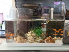 -威克特披萨汉堡