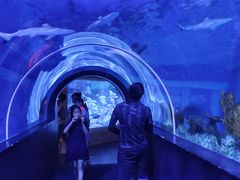 -成都浩海立方海洋公园