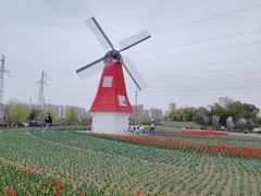 -菊园百果园