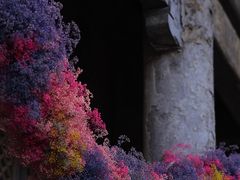 -嵩祝寺及智珠寺