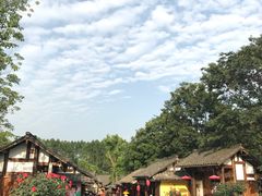 -秀丽东方