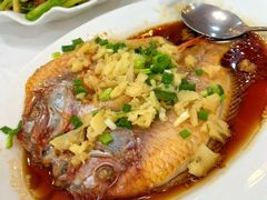 海红鱼-美居大酒楼(美居广场店)