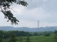 -宜兴龙背山森林公园