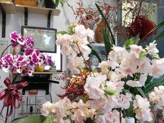 -FEI FEI FLOWER鲜花店·气球派对·宝宝宴布置(虹口德必运动Loft店)