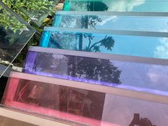 -亚龙湾热带天堂森林公园