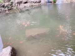 -十渡高山漂流