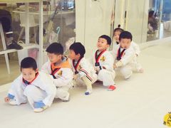 -勇气斑马·巴西柔术&跆拳道(浦东三林店)