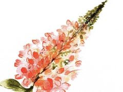 -八哥美术·成人美术画室(总校区)
