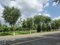 -东北农业大学