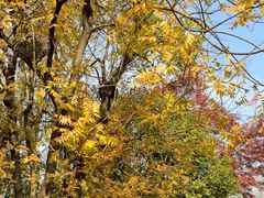 -茅山东方盐湖城景区