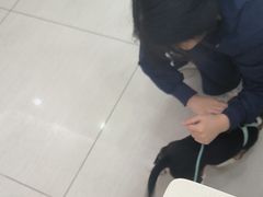 -全心全意连锁动物医院·微创中心·内科急重症·心脏专科(丰管路店)
