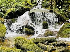 -瓦屋山景区