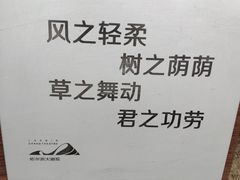 -哈尔滨大剧院