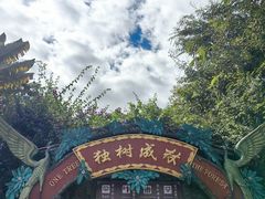 -瑞丽独树成林风景区