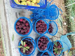 -宝岩生态观光园