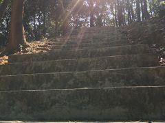 -广州市帽峰山景区