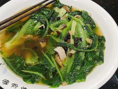 -丰食农家乐