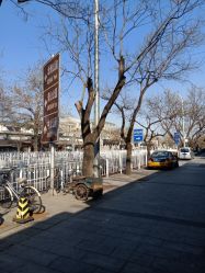 -北京大学第一医院妇产儿童医院