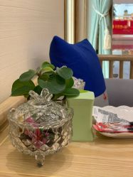 -芳朵美容养生SPA