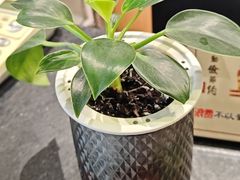 -韩宫宴烤肉·黑毛和牛·料理(宣州国购店)