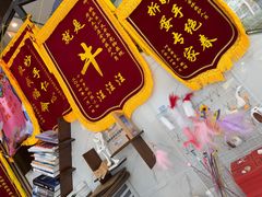 -半岛宠物医院24小时·内窥镜·牙科·碎石中心(府城大道店)