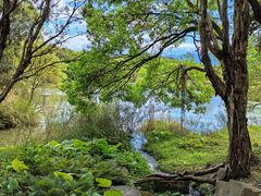 -福建鲤鱼洲酒店