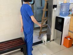 -宠福鑫动物医院(立水桥分院)