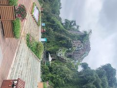 -云南野生动物园