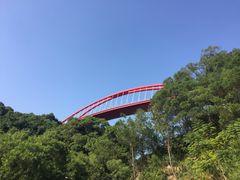 -金鸡山公园