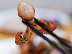 -霞山水产品批发市场