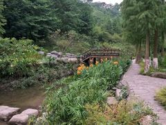 -重庆彩云湖湿地公园