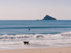 -西涌国际滨海旅游区