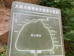 -大岭沟猕猴桃谷风景区
