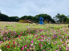 -广州市流溪河国家森林公园