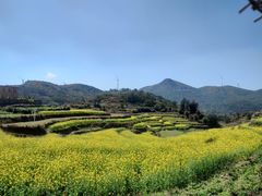 -大姆山草场