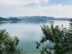 -望湖烤鱼