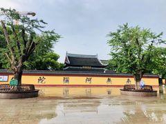 -上海东林寺(金山区)